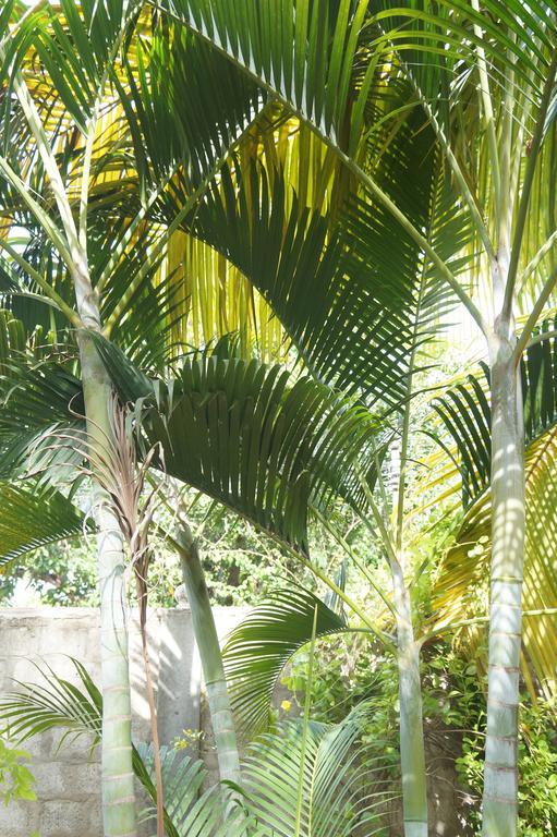 Little White House Trincomalee Bagian luar foto