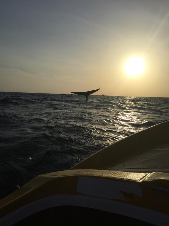 Little White House Trincomalee Bagian luar foto