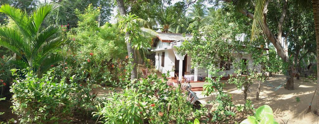 Little White House Trincomalee Bagian luar foto